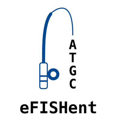 Image of the project "https://github.com/BBQuercus/eFISHent"